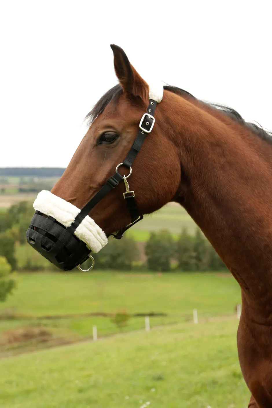 COVALLIERO Maulkorb Teddyfleece
