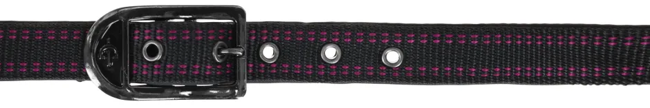 COVALLIERO Pferdehalfter Royal