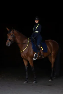 COVALLIERO Stab LED