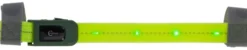 COVALLIERO Stirnriemen LED