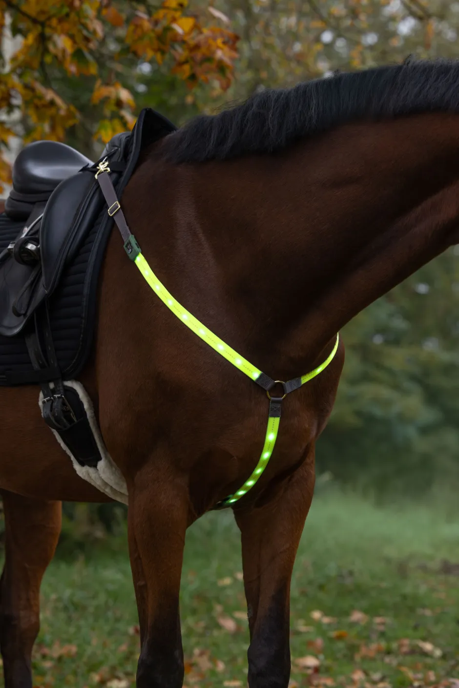 COVALLIERO Vorderzeug LED