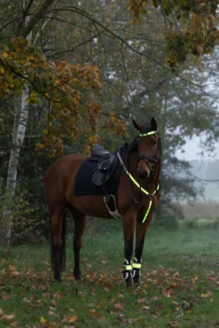 COVALLIERO Vorderzeug LED