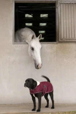 DIEGO & LOUNA Hunde-Fleecemantel Teddy