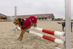 DIEGO & LOUNA Hundemantel aus Nylon Teddy