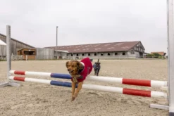 DIEGO & LOUNA Hundemantel aus Nylon Teddy