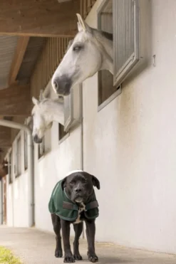 DIEGO & LOUNA Hundemantel aus Nylon Teddy