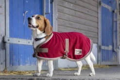 DIEGO & LOUNA „Polyfun Hundedecke