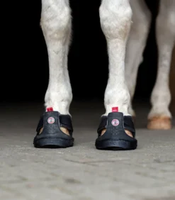 EQUINE FUSION Trekking Shoe
