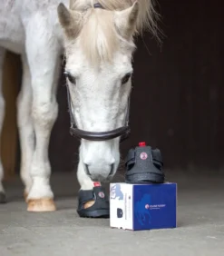 EQUINE FUSION Trekking Shoe Slim
