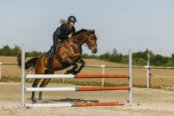 EQUITHEME Air2 Airbag-Weste