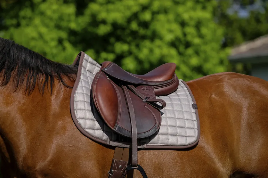 EQUITHEME - Chic - Schabracken