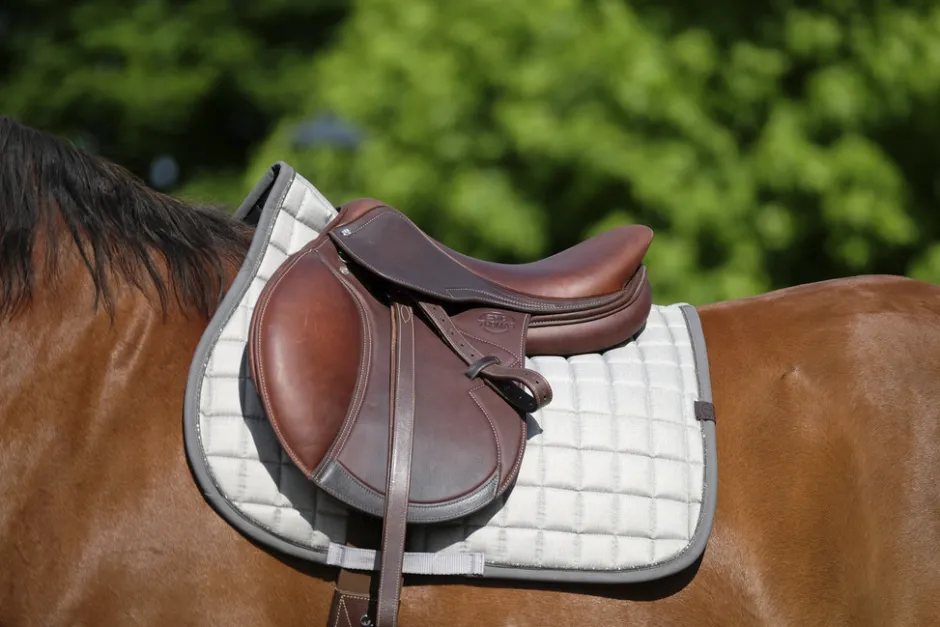EQUITHEME - Chic - Schabracken