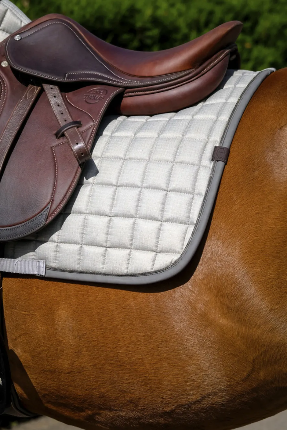 EQUITHEME - Chic - Schabracken