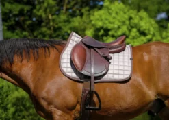 EQUITHEME - Chic - Schabracken