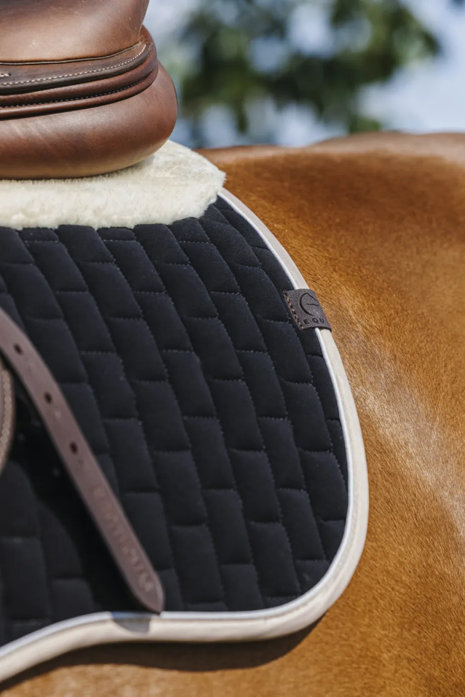 EQUITHEME - Dinard - Schabracken