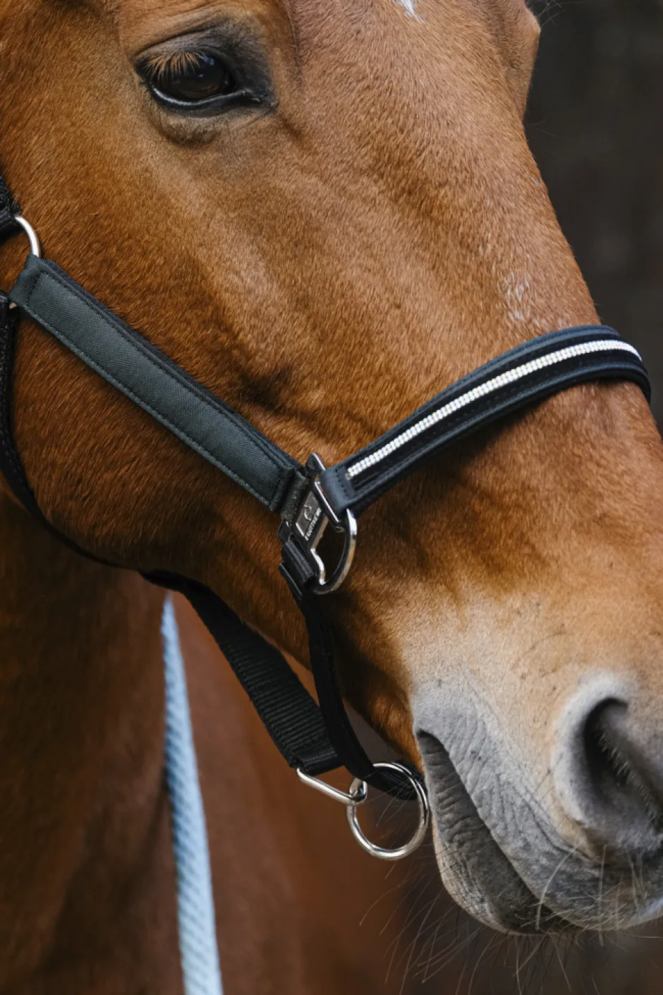 EQUITHEME Domino Nylonhalfter