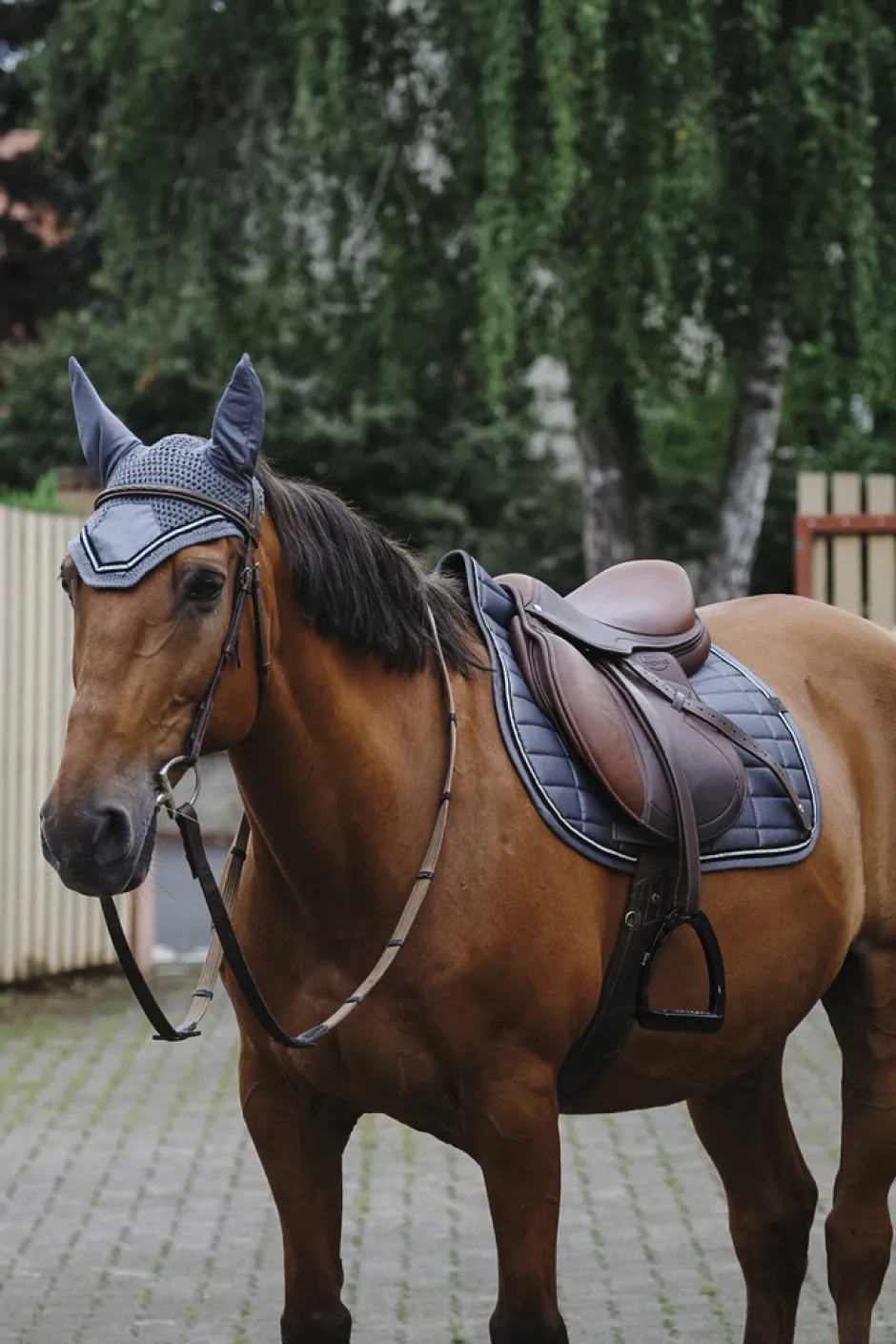 EQUITHEME Domino Schabracke