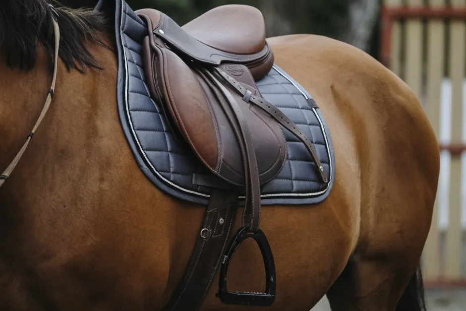 EQUITHEME Domino Schabracke