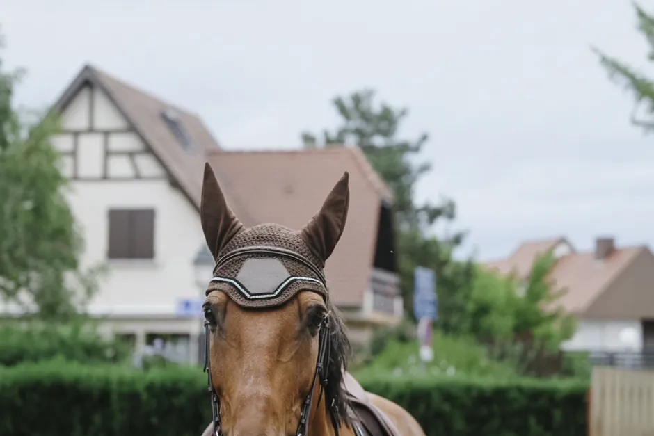 EQUITHEME Domino Schabracke
