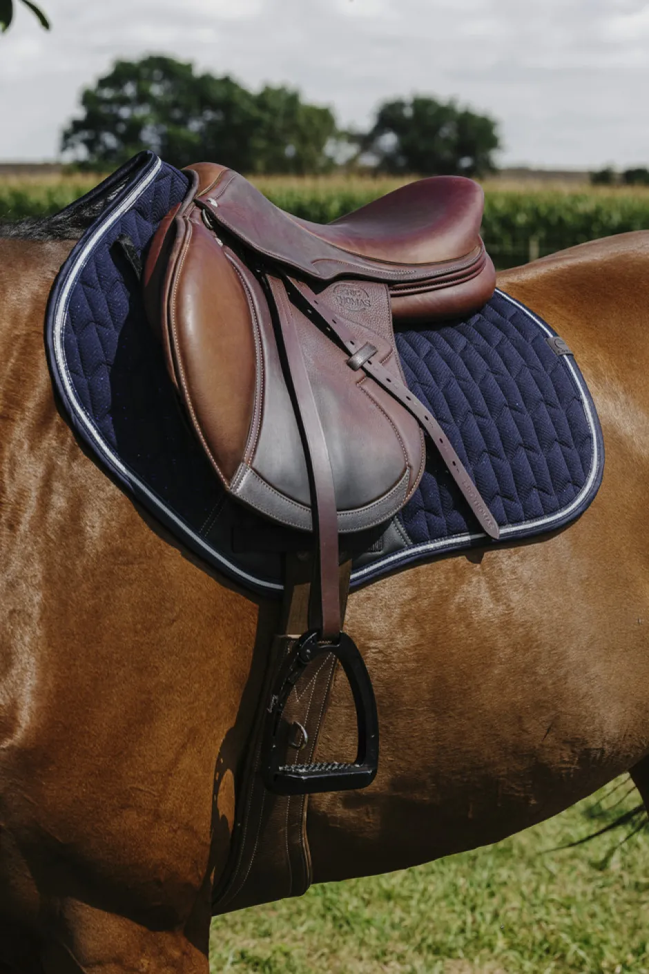 EQUITHEME - Eclat- Schabracken