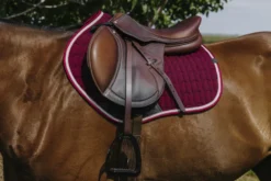 EQUITHEME - Eclat- Schabracken