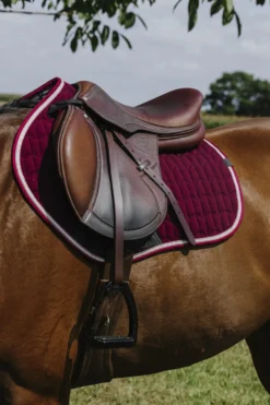 EQUITHEME - Eclat- Schabracken