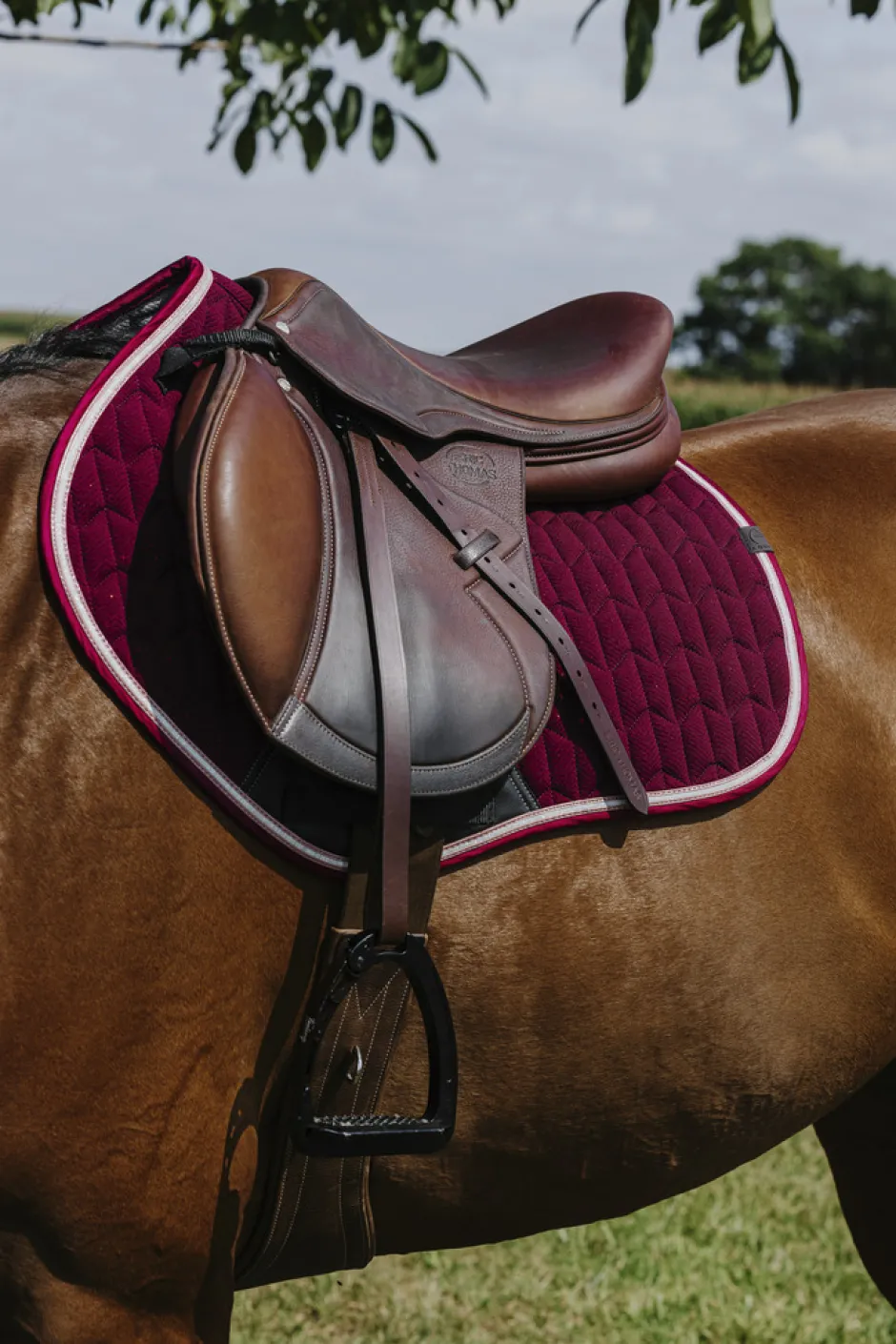 EQUITHEME - Eclat- Schabracken
