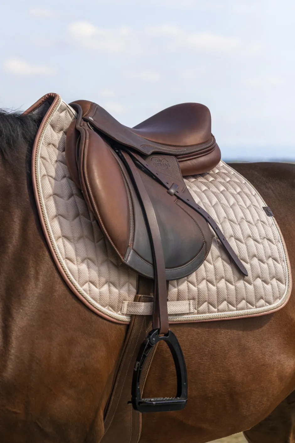 EQUITHEME - Excellence - Schabracken