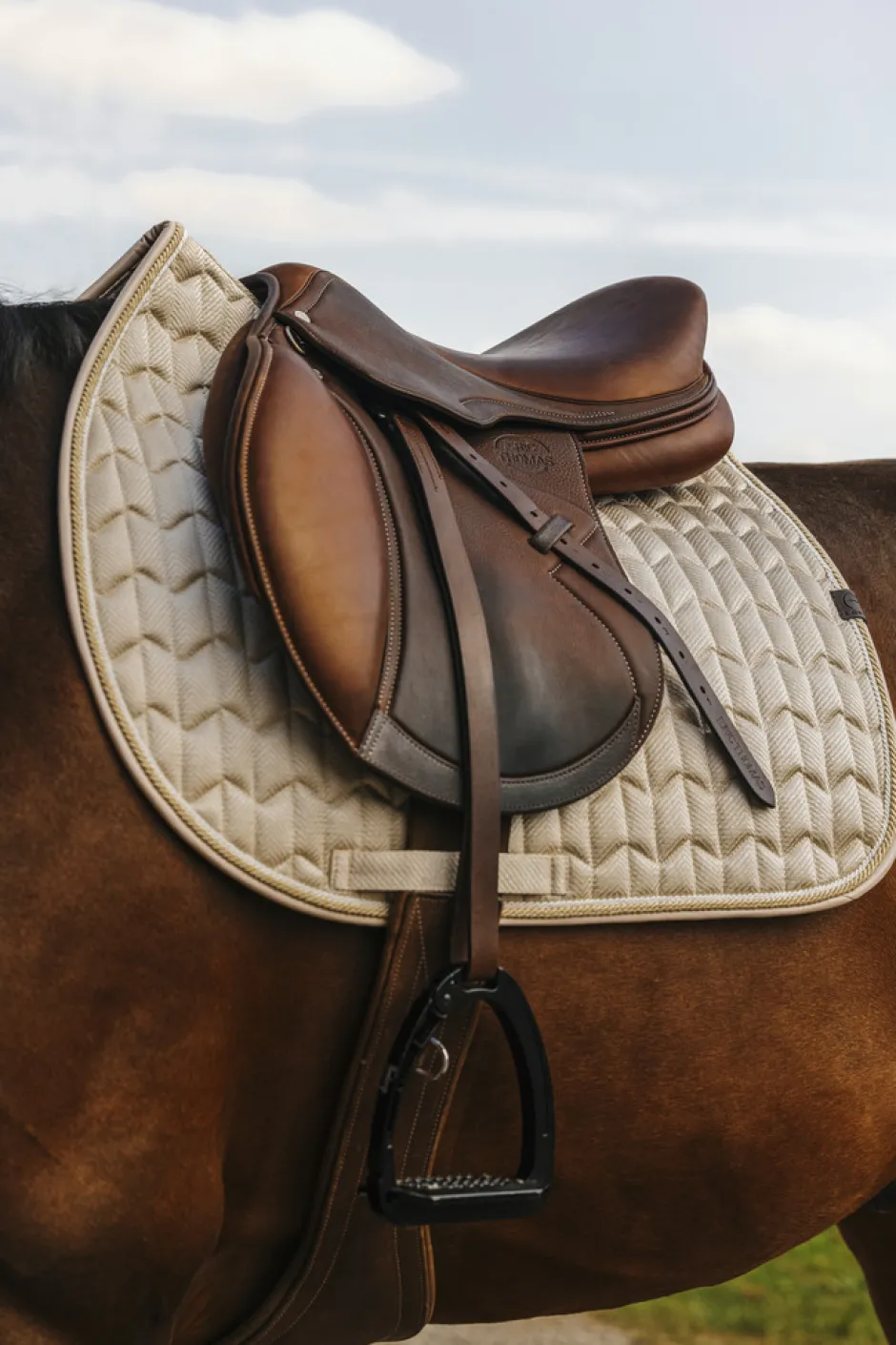 EQUITHEME - Excellence - Schabracken