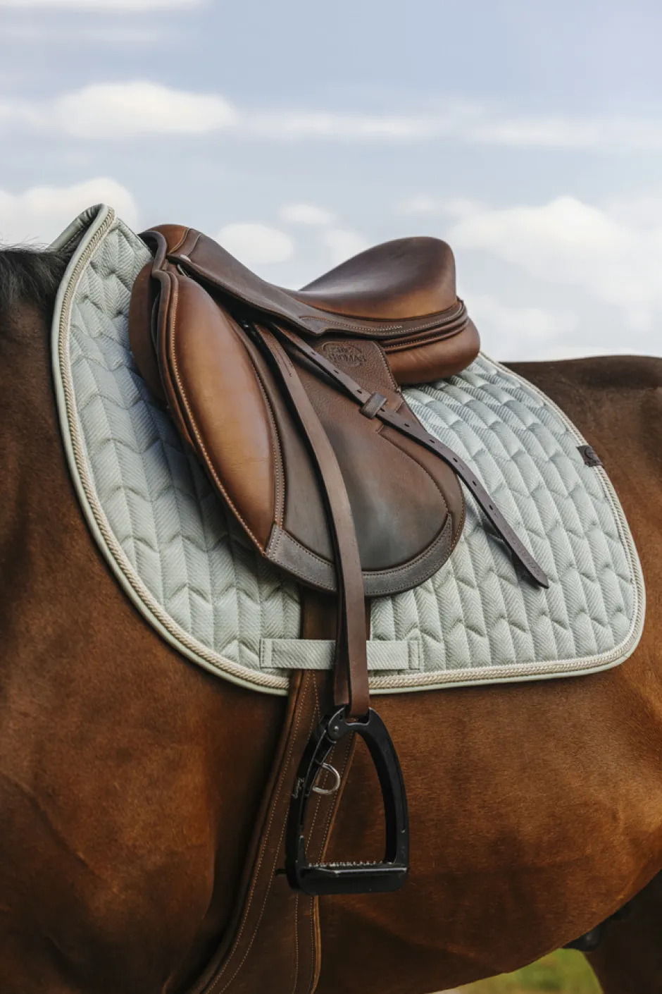 EQUITHEME - Excellence - Schabracken