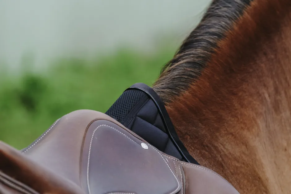 EQUITHEME - Impulsion - Schabracken