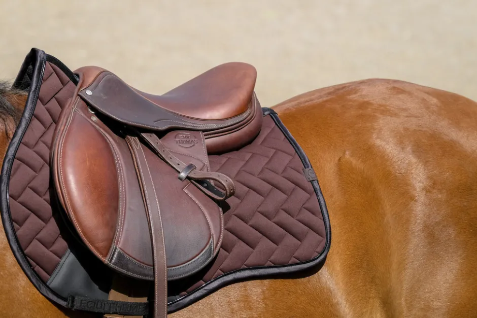 EQUITHEME - Impulsion - Schabracken
