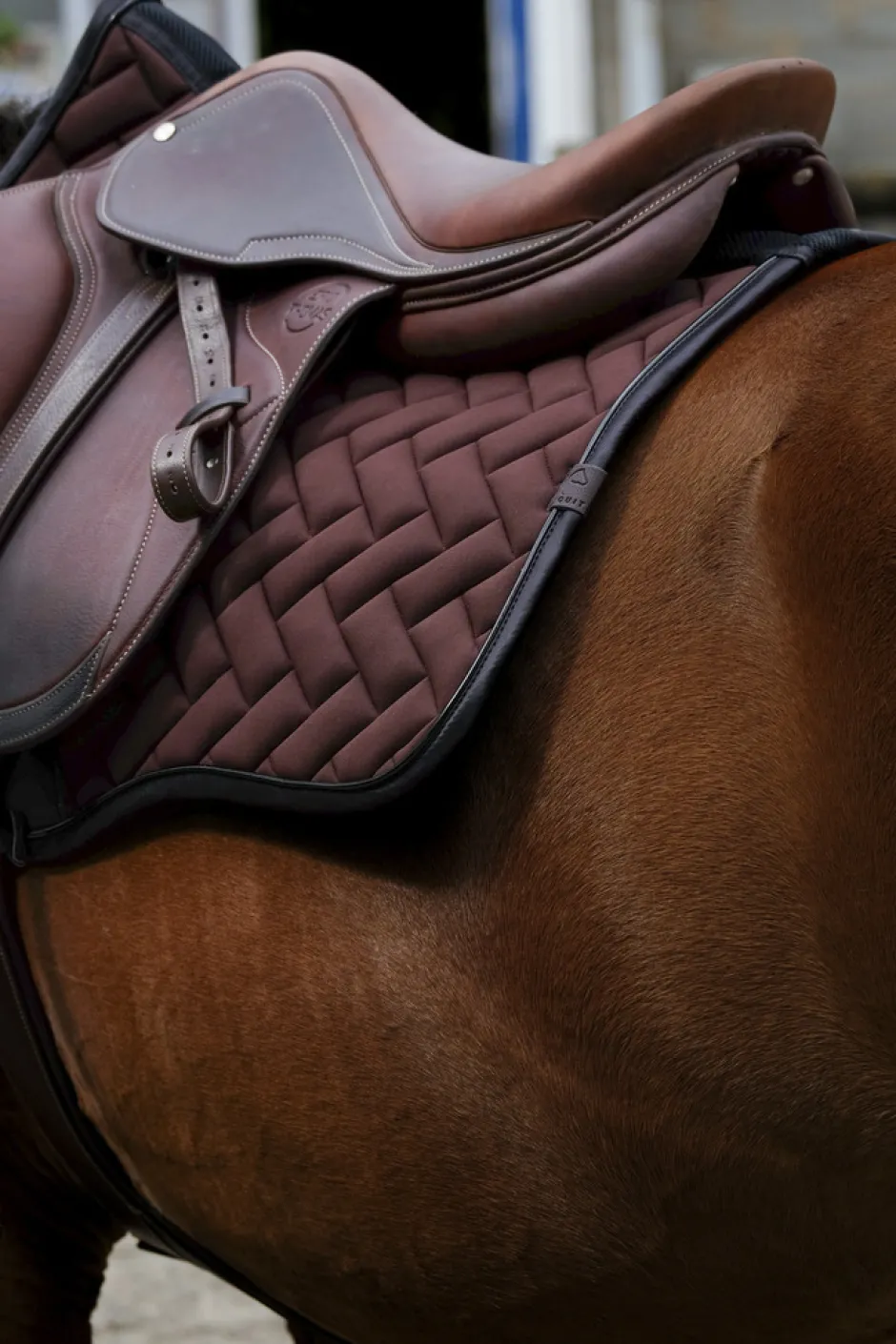 EQUITHEME - Impulsion - Schabracken