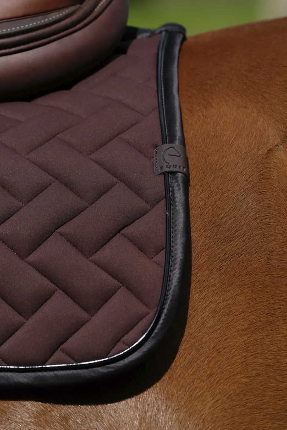 EQUITHEME - Impulsion - Schabracken