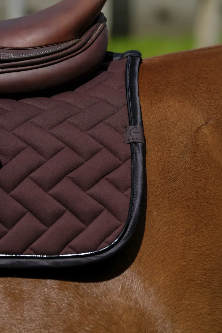 EQUITHEME - Impulsion - Schabracken