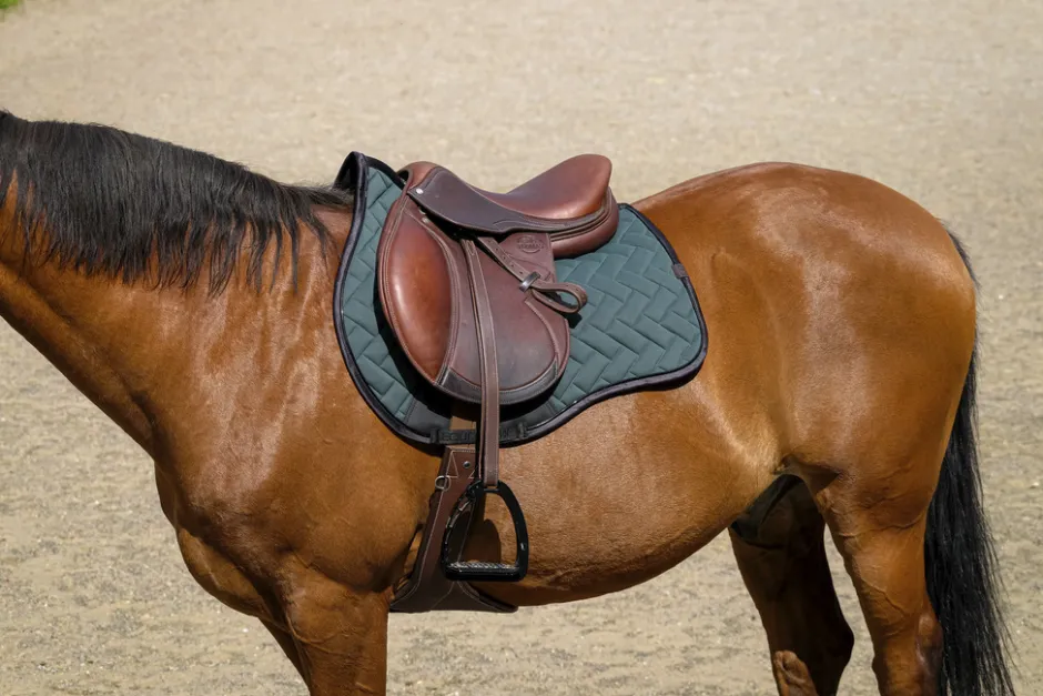 EQUITHEME - Impulsion - Schabracken