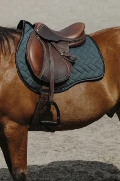 EQUITHEME - Impulsion - Schabracken