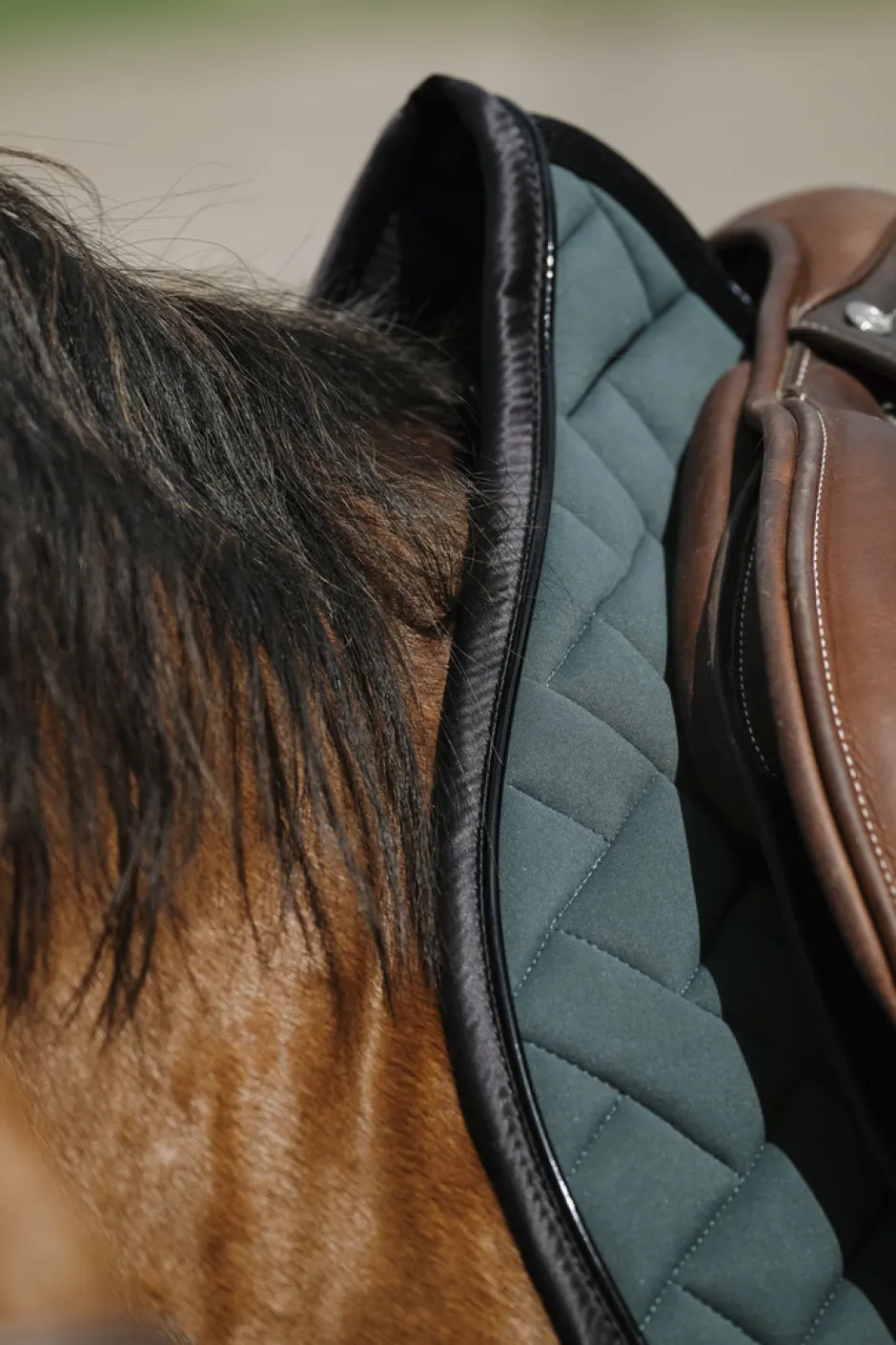 EQUITHEME - Impulsion - Schabracken
