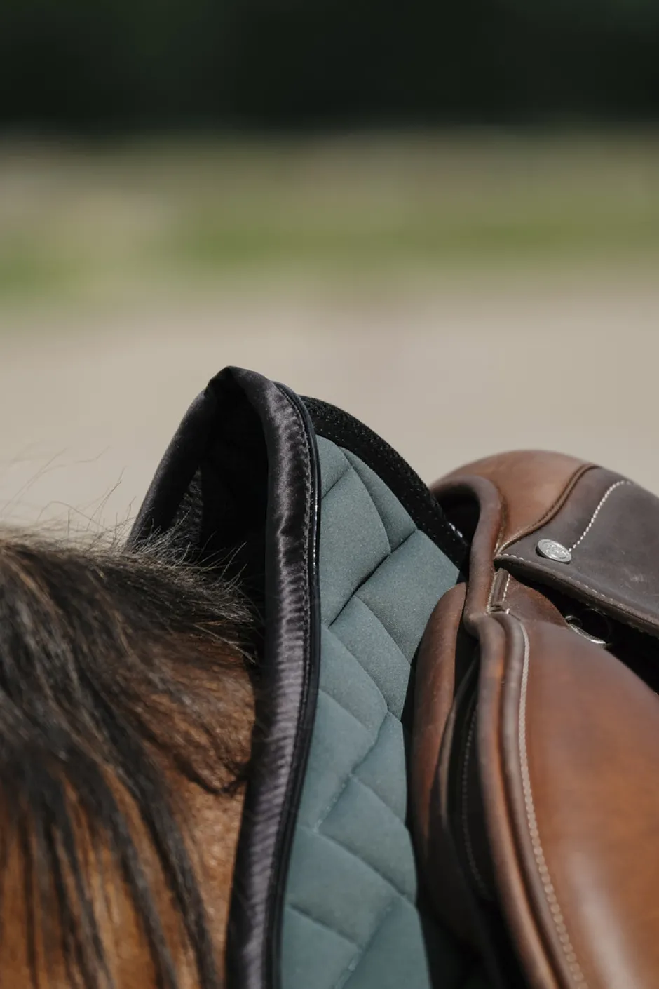 EQUITHEME - Impulsion - Schabracken