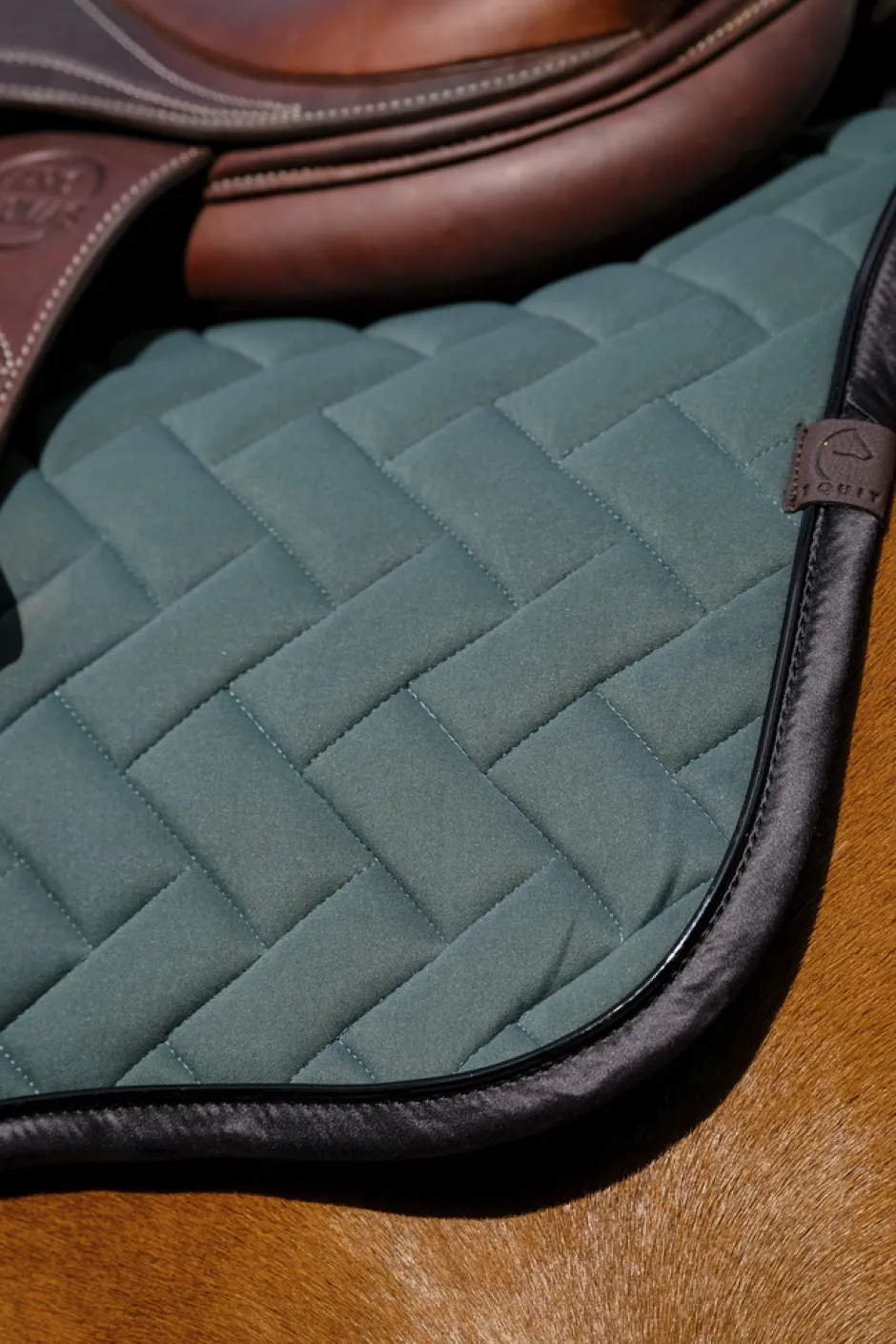 EQUITHEME - Impulsion - Schabracken