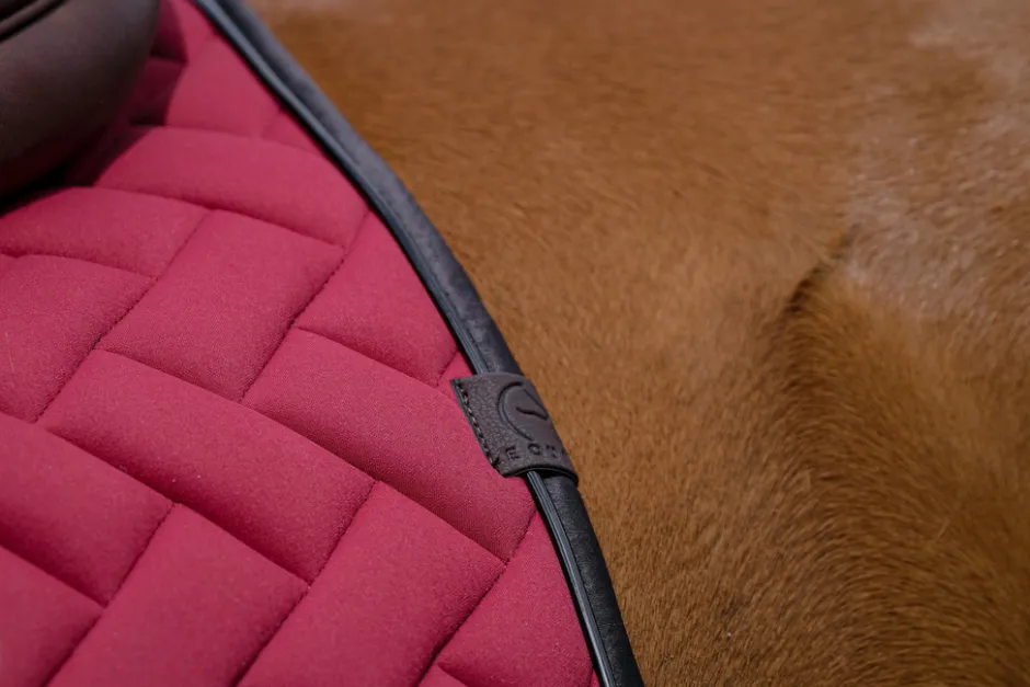 EQUITHEME - Impulsion - Schabracken