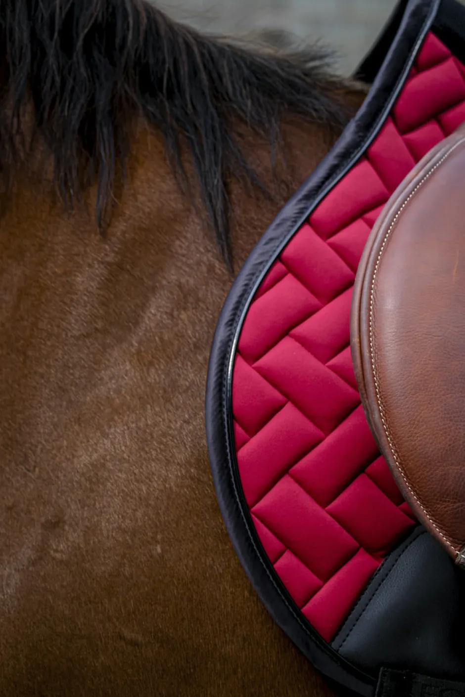 EQUITHEME - Impulsion - Schabracken