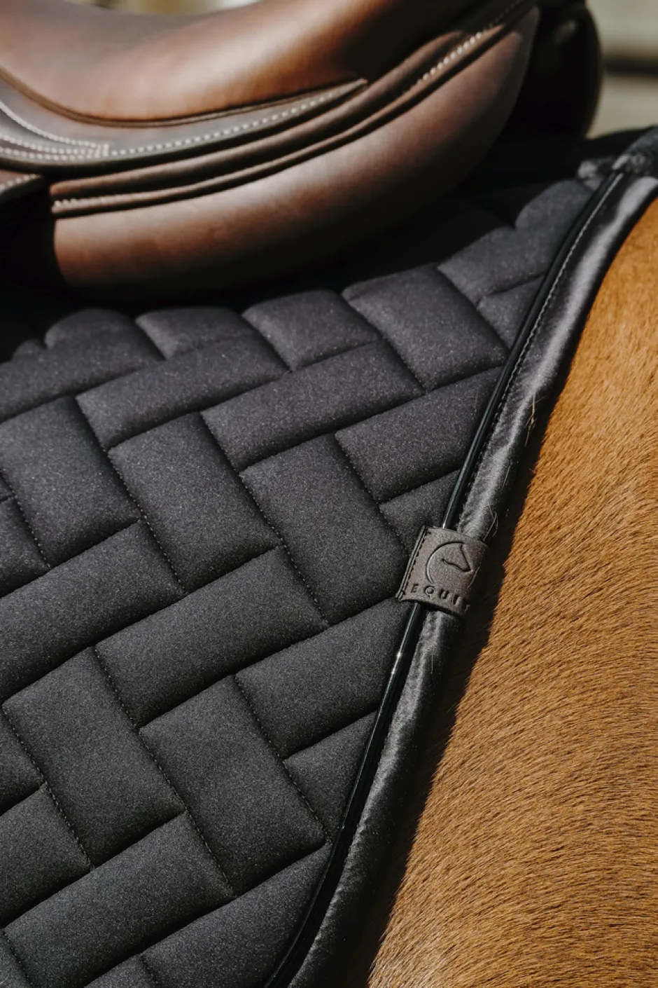 EQUITHEME - Impulsion - Schabracken