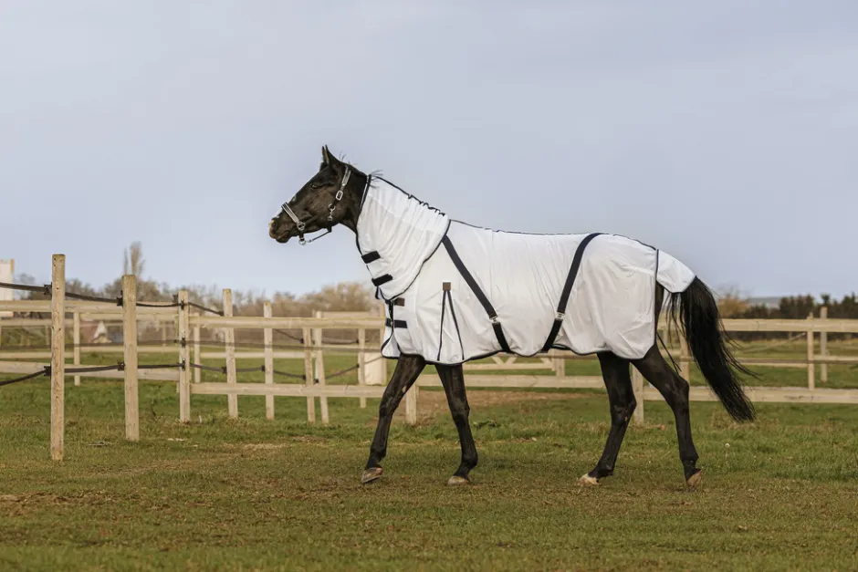 EQUITHEME Mesh Combo Decke