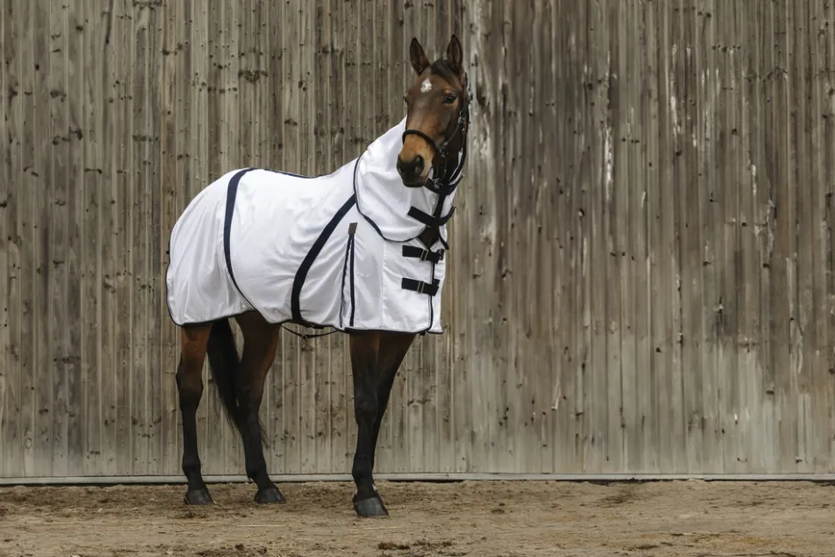 EQUITHEME - Mesh - Fliegendecke