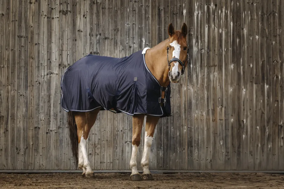 EQUITHEME Micro Mesh Decke