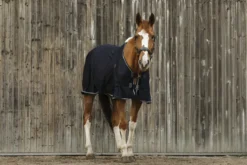 EQUITHEME Micro Mesh Decke