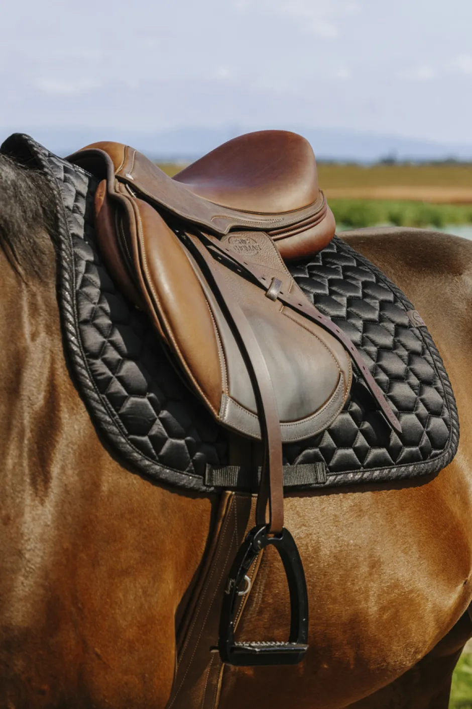 EQUITHEME - Pretty - Schabracken