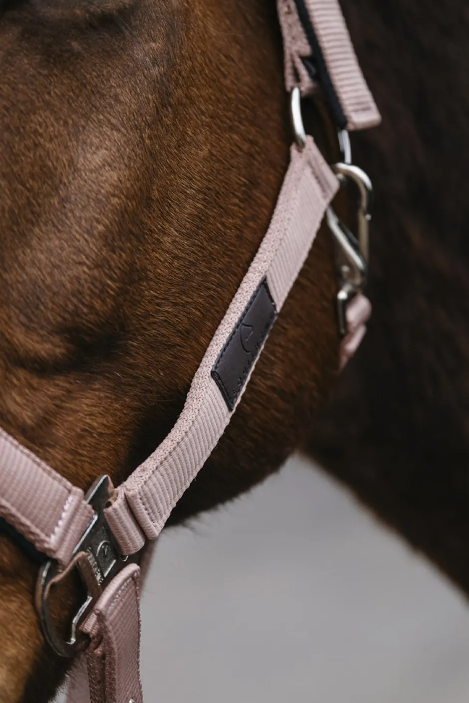 EQUITHEME Spring Nylonhalfter
