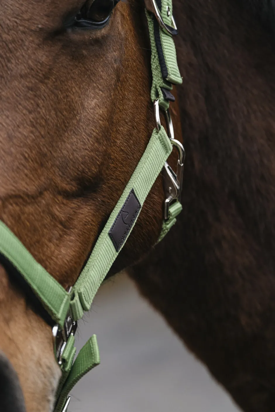 EQUITHEME Spring Nylonhalfter
